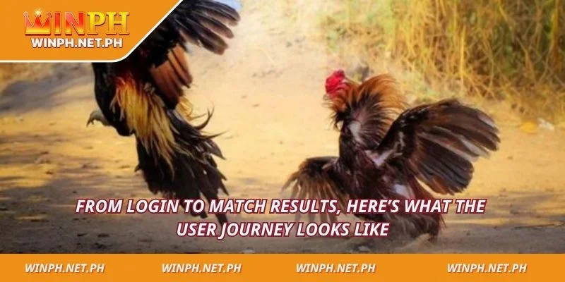 From login to match results, here’s what the user journey looks like