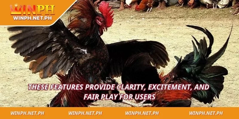 These features provide clarity, excitement, and fair play for users