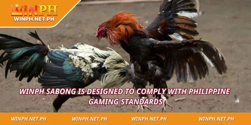 WINPH Sabong is designed to comply with Philippine gaming standards