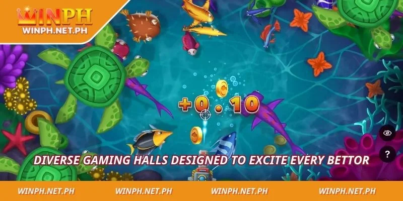 Diverse gaming halls designed to excite every bettor