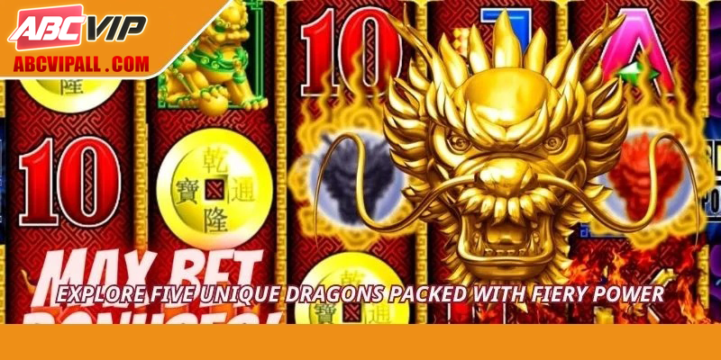 Explore five unique dragons packed with fiery power